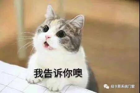 微信圖片_20211218165106.jpg